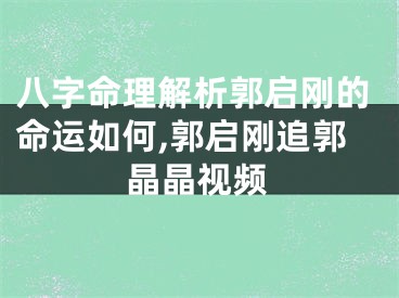 八字命理解析郭启刚的命运如何,郭启刚追郭晶晶视频