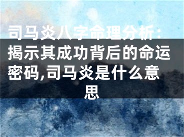 司马炎八字命理分析：揭示其成功背后的命运密码,司马炎是什么意思