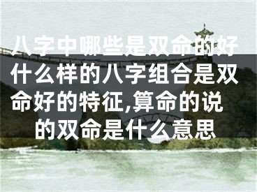 八字中哪些是双命的好什么样的八字组合是双命好的特征,算命的说的双命是什么意思