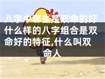 八字中哪些是双命的好什么样的八字组合是双命好的特征,什么叫双命人