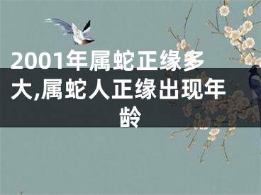 2001年属蛇正缘多大,属蛇人正缘出现年龄