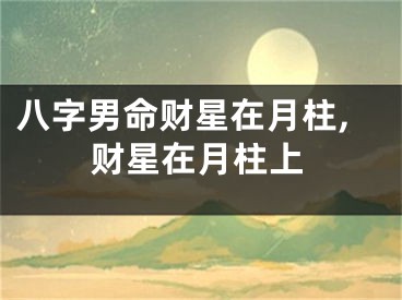 八字男命财星在月柱,财星在月柱上