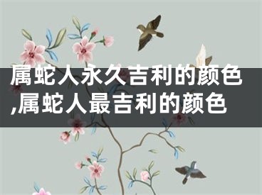 属蛇人永久吉利的颜色,属蛇人最吉利的颜色
