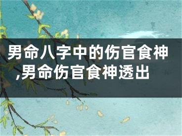 男命八字中的伤官食神,男命伤官食神透出