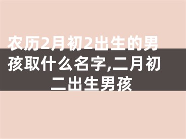 农历2月初2出生的男孩取什么名字,二月初二出生男孩