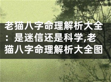 老猫八字命理解析大全：是迷信还是科学,老猫八字命理解析大全图
