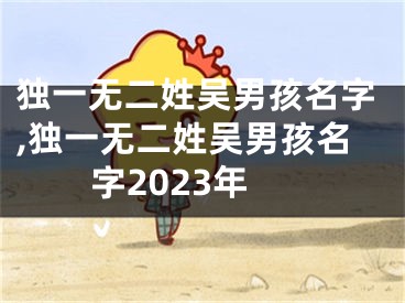 独一无二姓吴男孩名字,独一无二姓吴男孩名字2023年