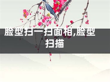 脸型扫一扫面相,脸型扫描