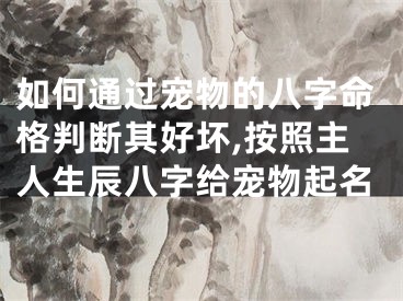如何通过宠物的八字命格判断其好坏,按照主人生辰八字给宠物起名