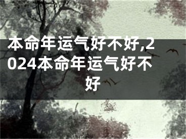 本命年运气好不好,2024本命年运气好不好
