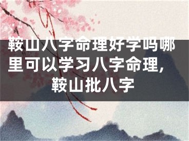 鞍山八字命理好学吗哪里可以学习八字命理,鞍山批八字