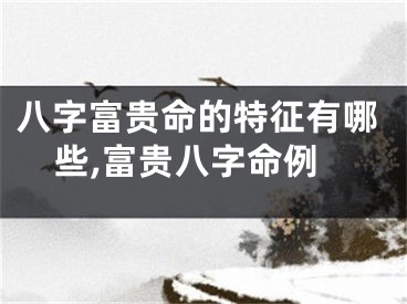 八字富贵命的特征有哪些,富贵八字命例