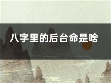 八字里的后台命是啥