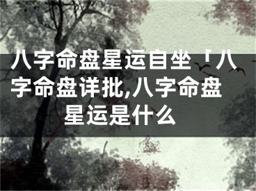 八字命盘星运自坐「八字命盘详批,八字命盘 星运是什么