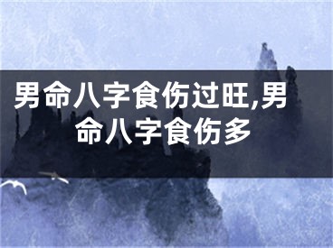 男命八字食伤过旺,男命八字食伤多