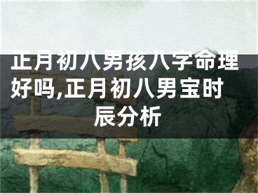 正月初八男孩八字命理好吗,正月初八男宝时辰分析
