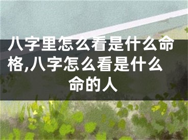 八字里怎么看是什么命格,八字怎么看是什么命的人