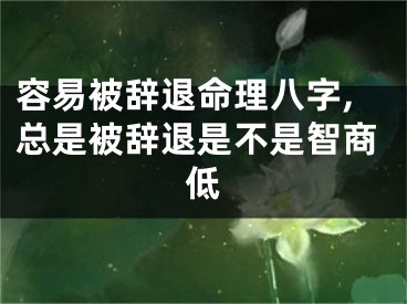 容易被辞退命理八字,总是被辞退是不是智商低