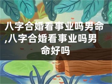 八字合婚看事业吗男命,八字合婚看事业吗男命好吗