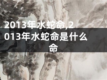 2013年水蛇命,2013年水蛇命是什么命
