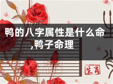 鸭的八字属性是什么命,鸭子命理