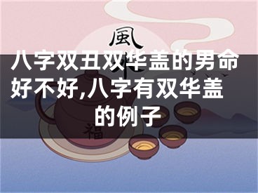 八字双丑双华盖的男命好不好,八字有双华盖的例子