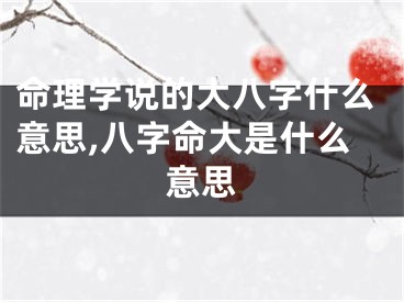 命理学说的大八字什么意思,八字命大是什么意思