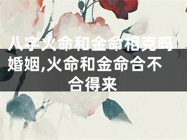八字火命和金命相克吗婚姻,火命和金命合不合得来
