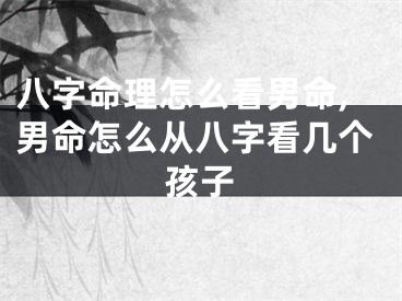 八字命理怎么看男命,男命怎么从八字看几个孩子