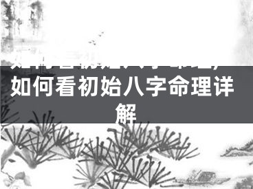 如何看初始八字命理,如何看初始八字命理详解