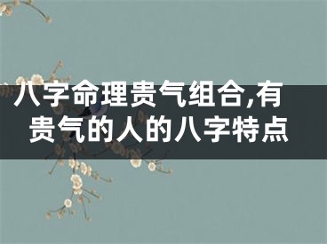 八字命理贵气组合,有贵气的人的八字特点