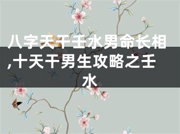 八字天干壬水男命长相,十天干男生攻略之壬水