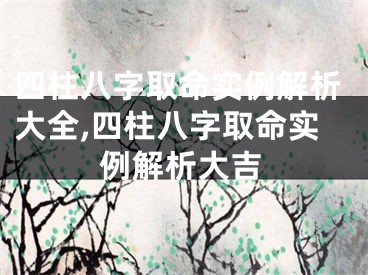 四柱八字取命实例解析大全,四柱八字取命实例解析大吉