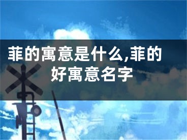 菲的寓意是什么,菲的好寓意名字