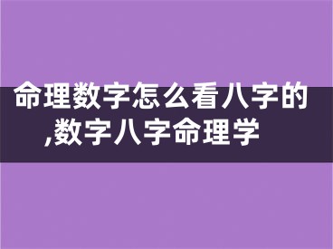 命理数字怎么看八字的,数字八字命理学