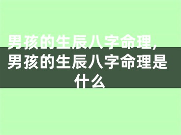 男孩的生辰八字命理,男孩的生辰八字命理是什么