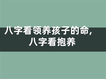 八字看领养孩子的命,八字看抱养