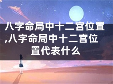 八字命局中十二宫位置,八字命局中十二宫位置代表什么