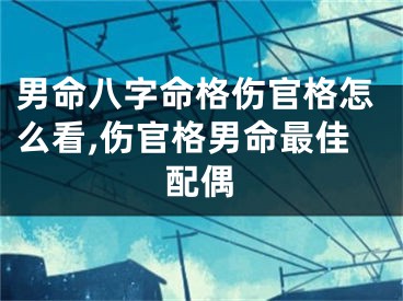 男命八字命格伤官格怎么看,伤官格男命最佳配偶