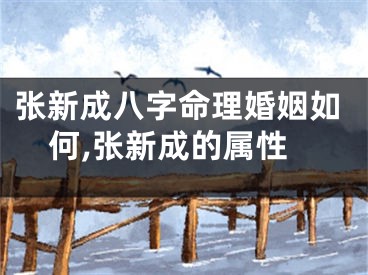 张新成八字命理婚姻如何,张新成的属性