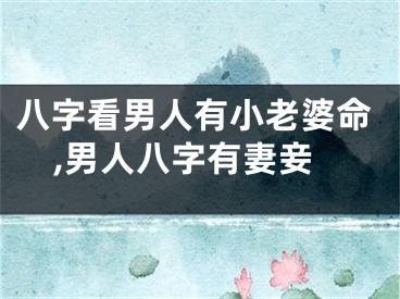 八字看男人有小老婆命,男人八字有妻妾