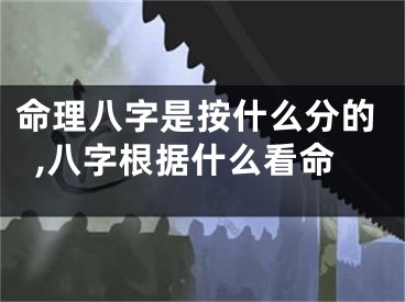 命理八字是按什么分的,八字根据什么看命