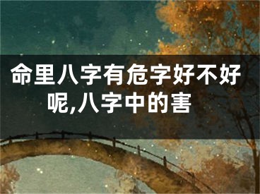 命里八字有危字好不好呢,八字中的害