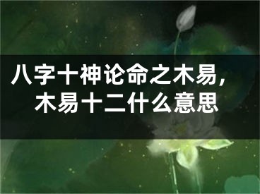 八字十神论命之木易,木易十二什么意思