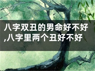 八字双丑的男命好不好,八字里两个丑好不好