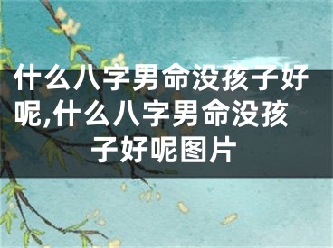 什么八字男命没孩子好呢,什么八字男命没孩子好呢图片
