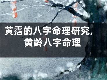 黄霑的八字命理研究,黄龄八字命理