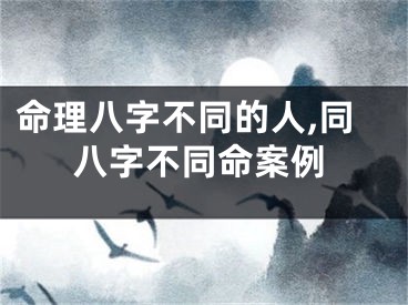 命理八字不同的人,同八字不同命案例