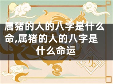 属猪的人的八字是什么命,属猪的人的八字是什么命运