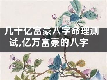 几十亿富豪八字命理测试,亿万富豪的八字